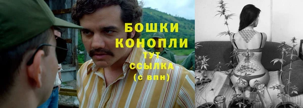 спиды Вязьма