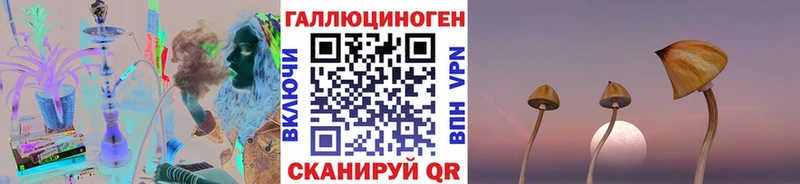 Галлюциногенные грибы прущие грибы  Купить  Козловка 